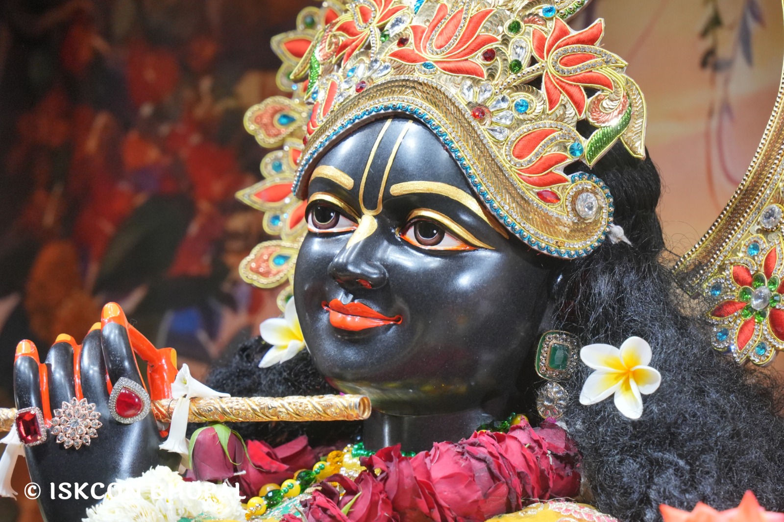 WhatsApp Image 2026-02-16 at 12.15.40 PM (1)