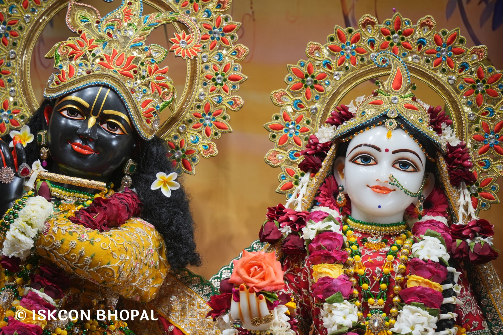 WhatsApp Image 2026-02-16 at 12.15.40 PM