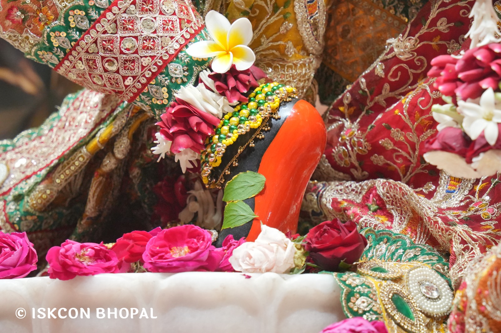 WhatsApp Image 2026-02-16 at 12.15.41 PM (2)