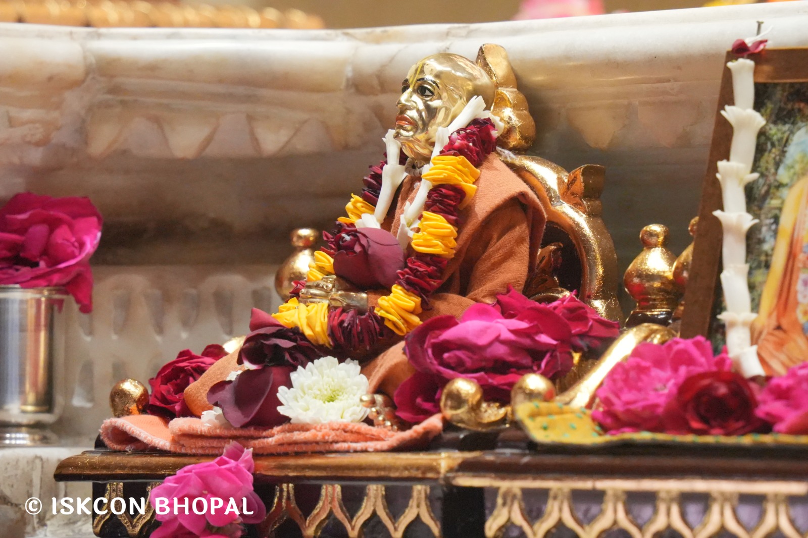 WhatsApp Image 2026-02-16 at 12.15.41 PM