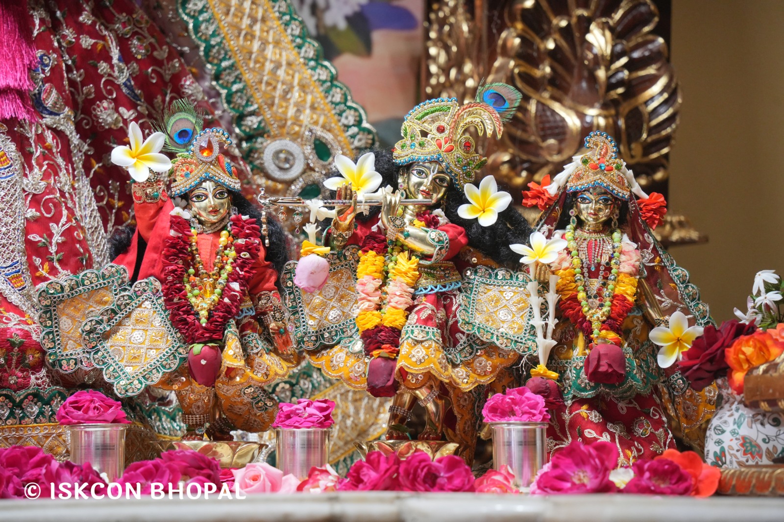 WhatsApp Image 2026-02-16 at 12.15.42 PM