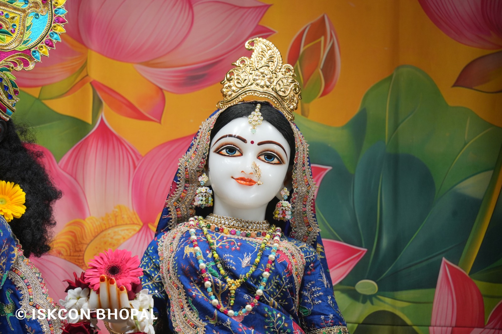 WhatsApp Image 2026-02-16 at 5.35.53 AM (1)