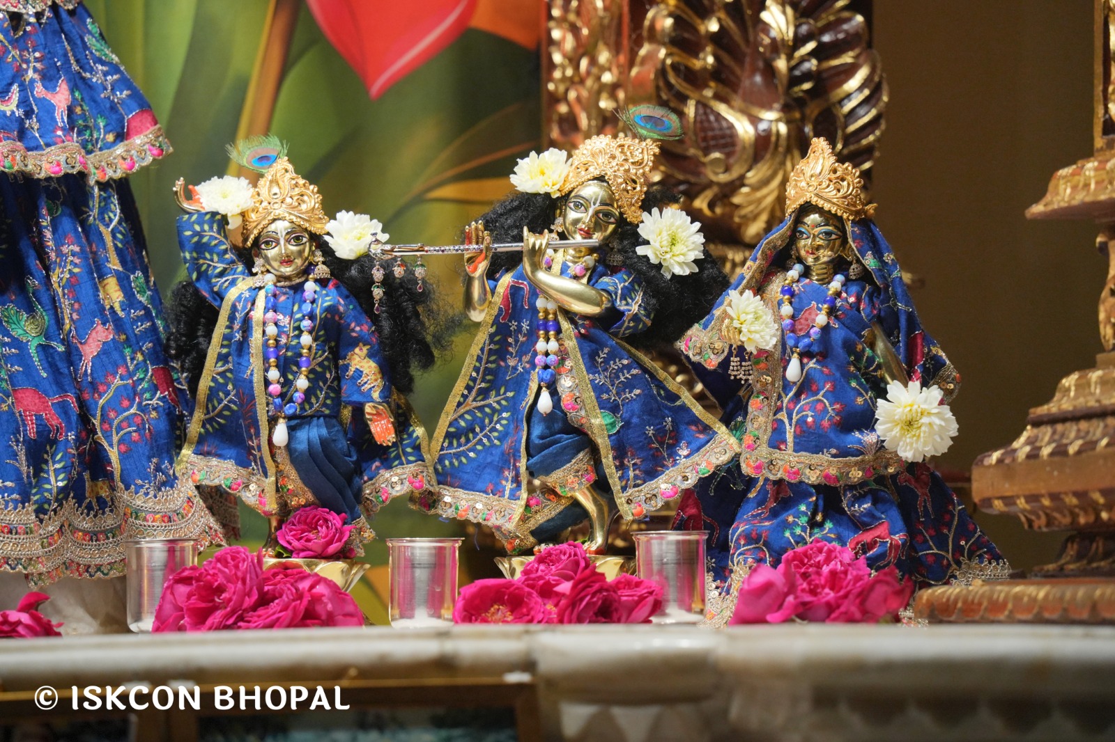 WhatsApp Image 2026-02-16 at 5.35.53 AM (2)