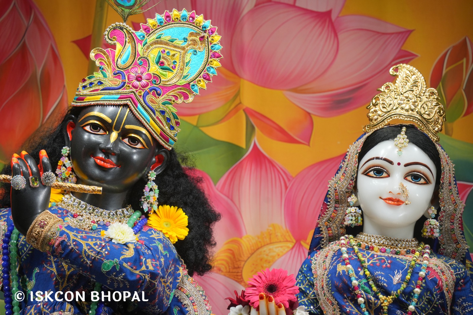 WhatsApp Image 2026-02-16 at 5.35.53 AM (3)