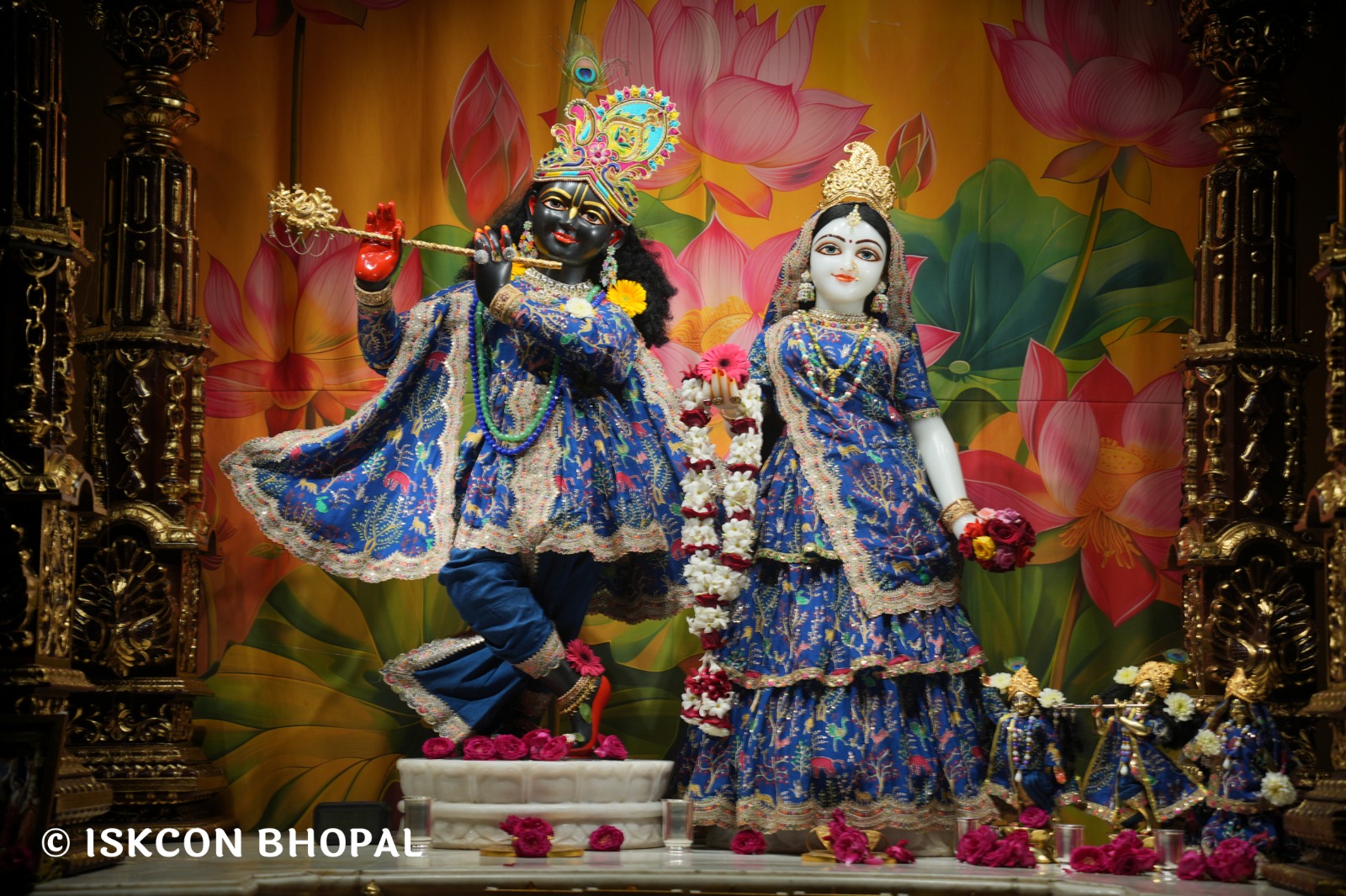 WhatsApp Image 2026-02-16 at 5.35.53 AM