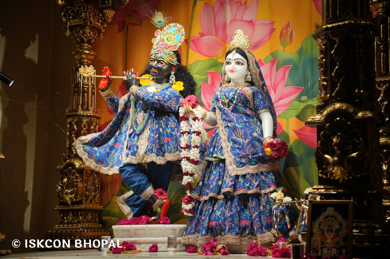 WhatsApp Image 2026-02-16 at 5.35.54 AM (5)