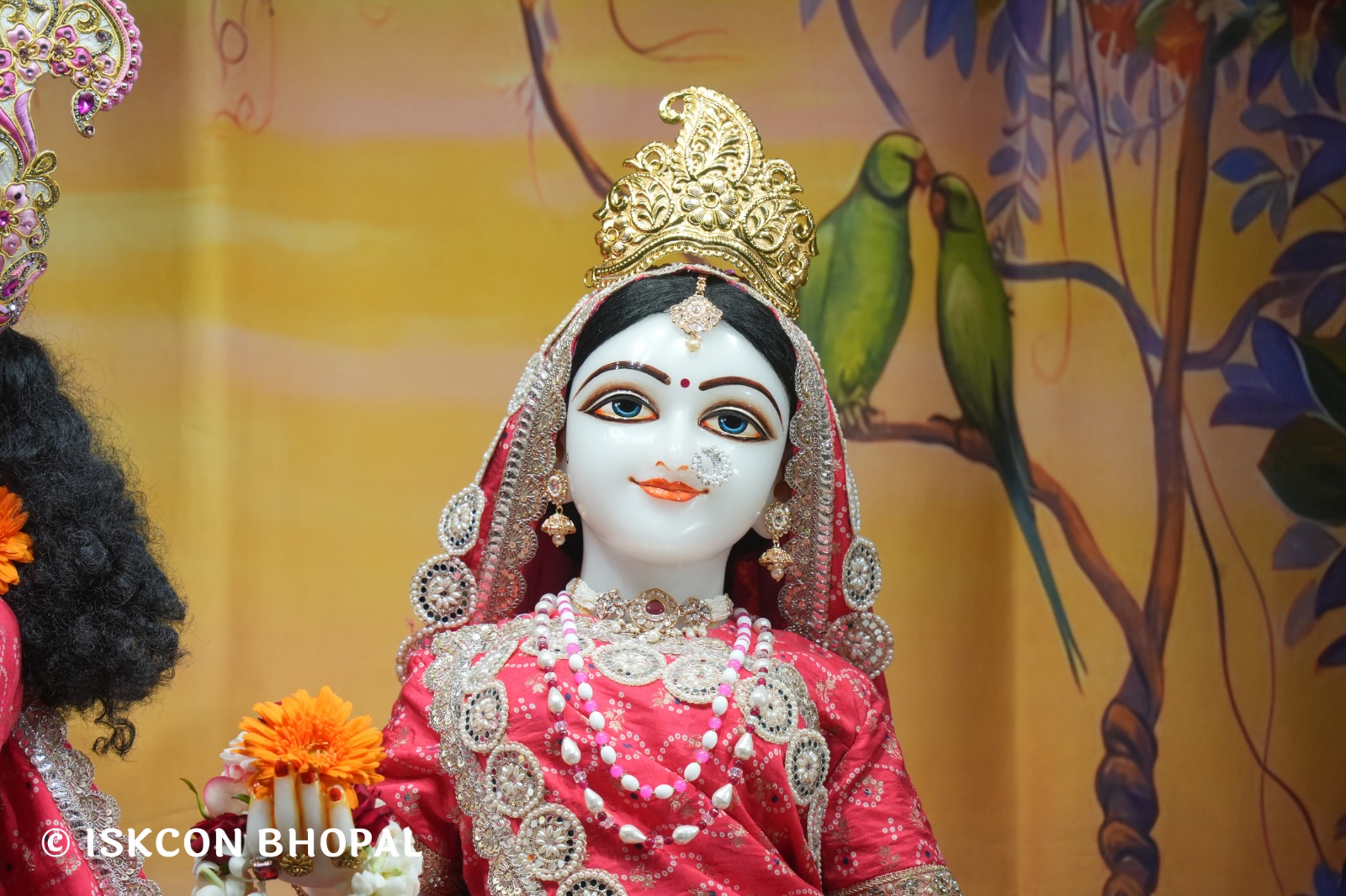 WhatsApp Image 2026-02-17 at 7.13.45 AM (1)