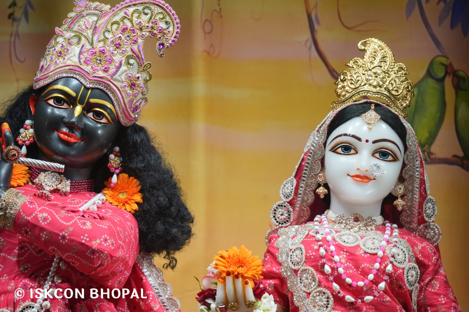 WhatsApp Image 2026-02-17 at 7.13.45 AM