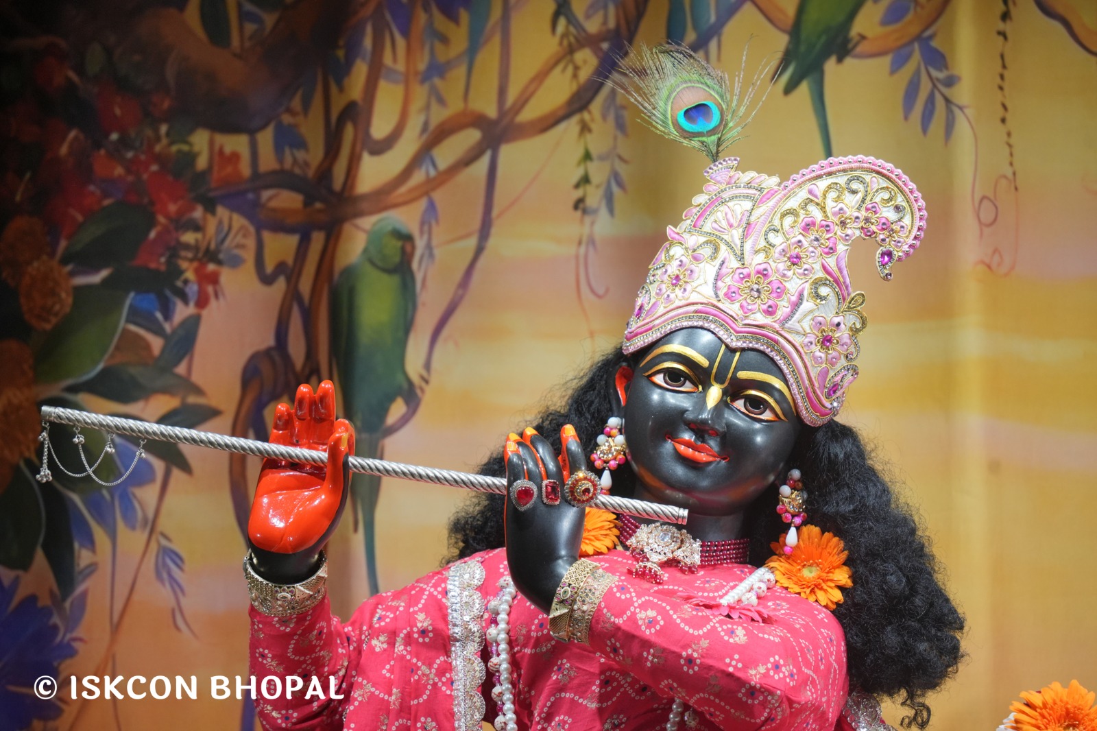 WhatsApp Image 2026-02-17 at 7.13.46 AM (1)