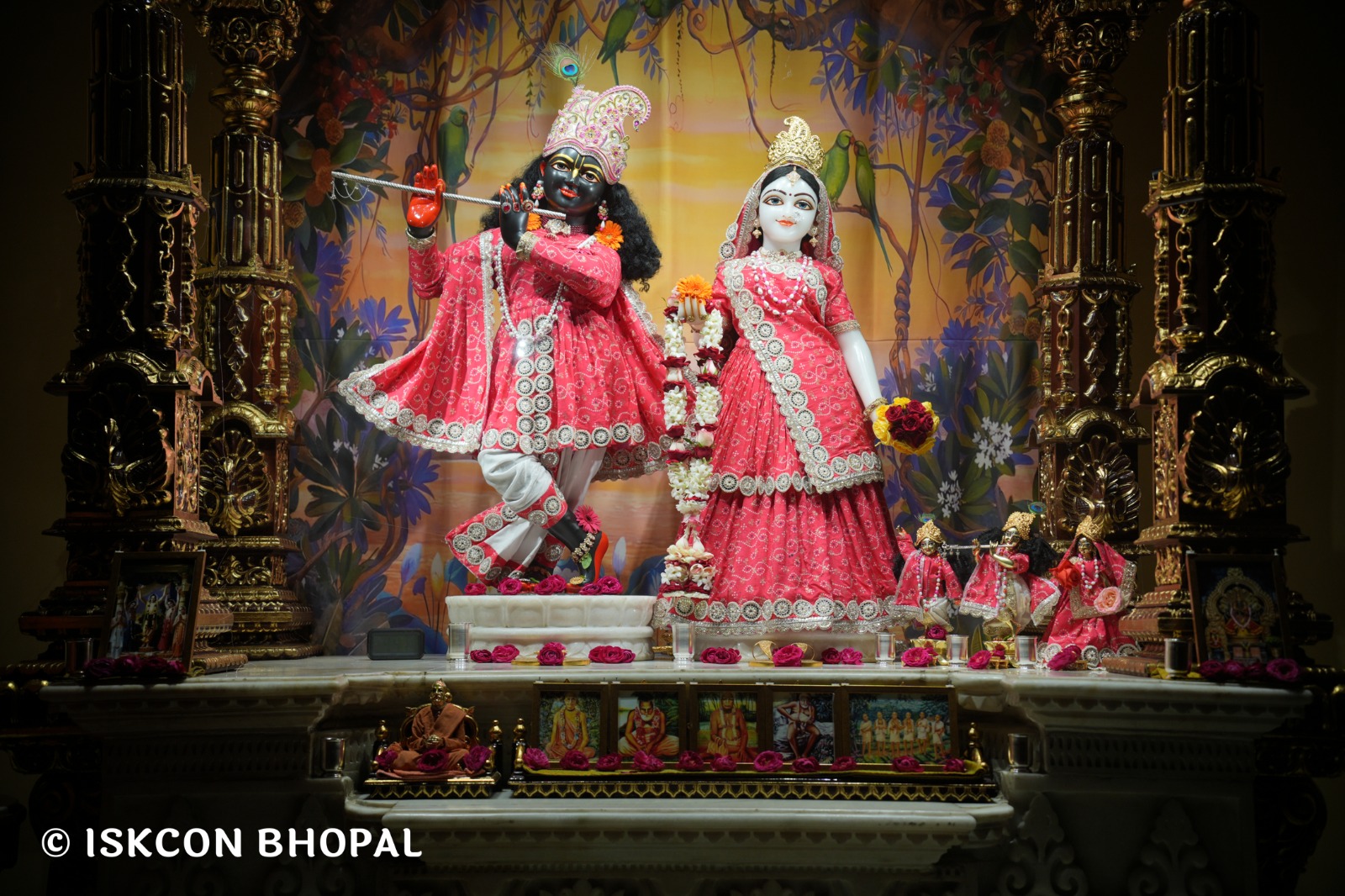 WhatsApp Image 2026-02-17 at 7.13.46 AM (3)