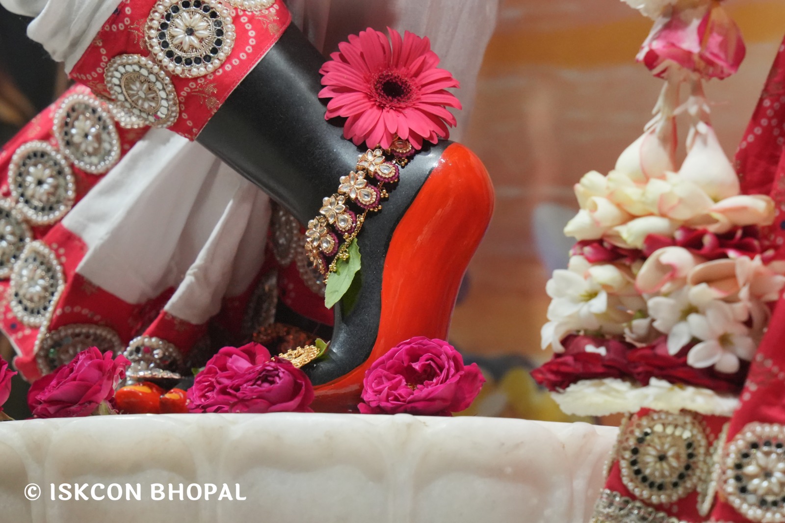 WhatsApp Image 2026-02-17 at 7.13.47 AM (1)