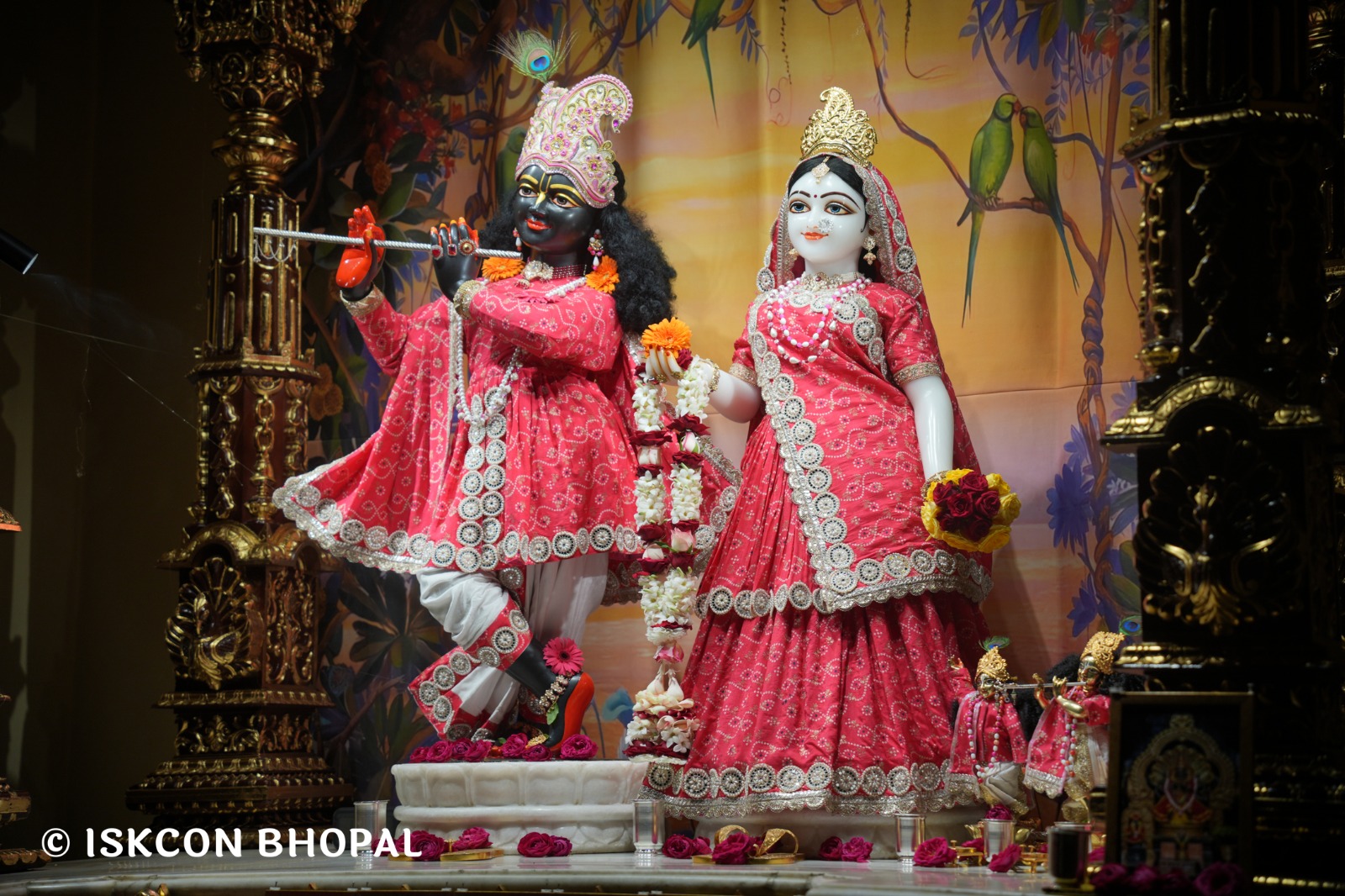 WhatsApp Image 2026-02-17 at 7.13.47 AM (3)