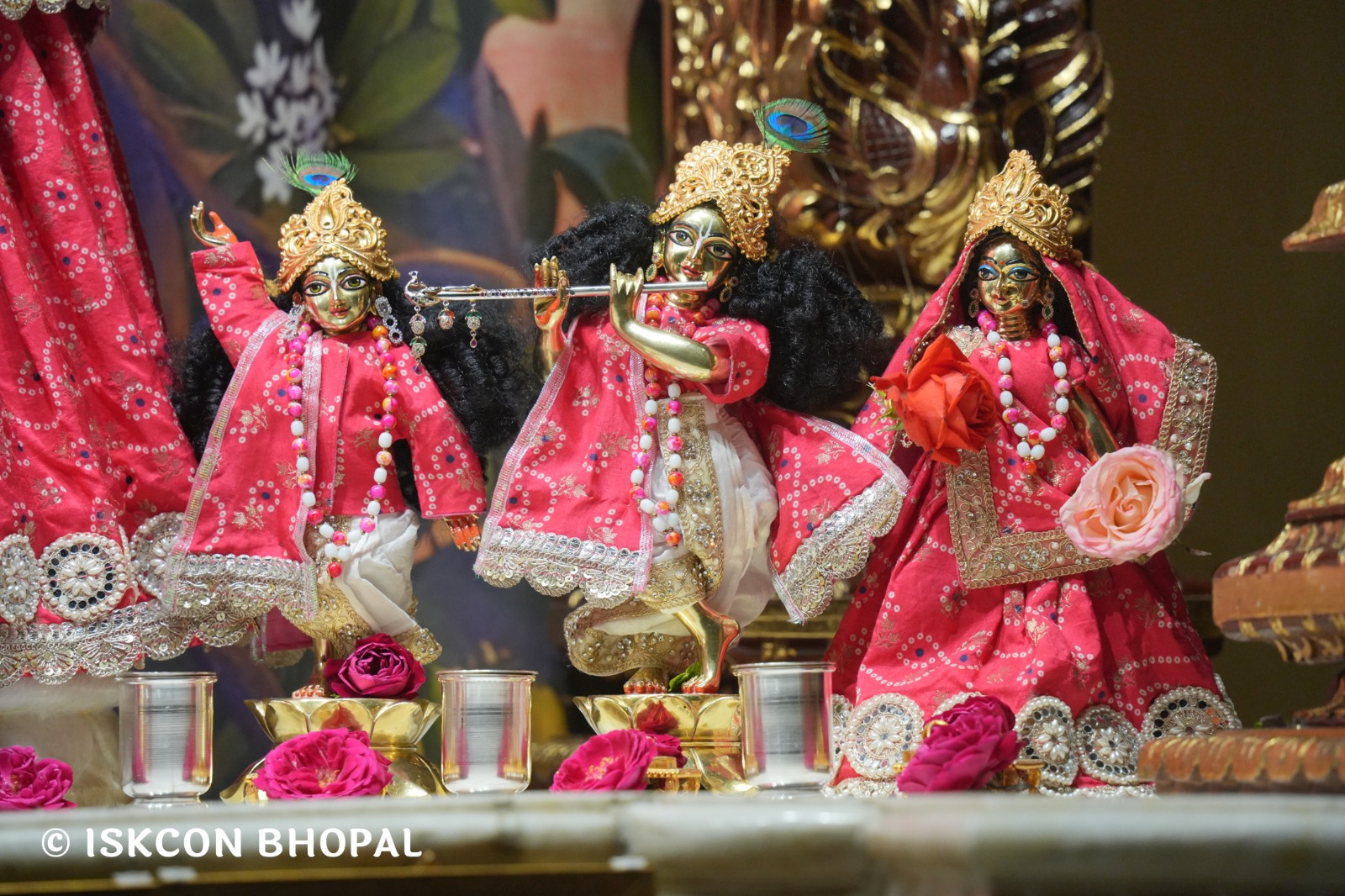 WhatsApp Image 2026-02-17 at 7.13.47 AM (4)