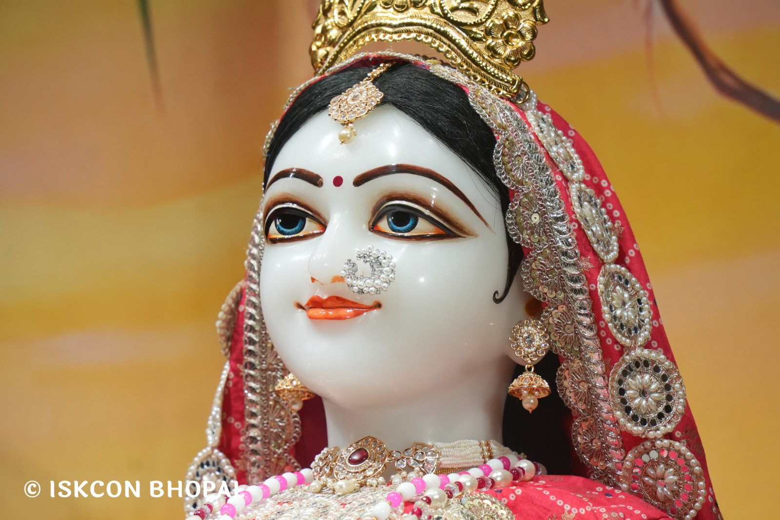 WhatsApp Image 2026-02-17 at 7.13.47 AM