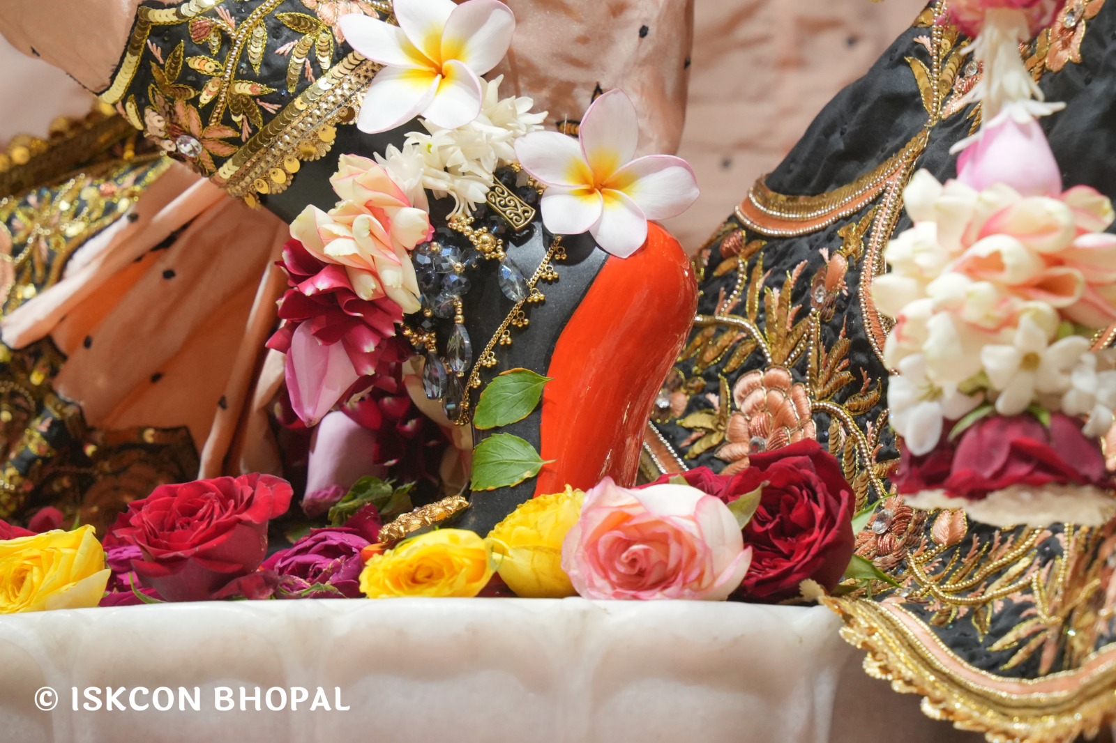 WhatsApp Image 2026-02-17 at 7.51.44 AM (1)