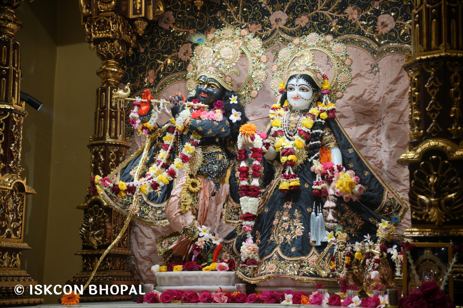 WhatsApp Image 2026-02-17 at 7.51.44 AM (2)