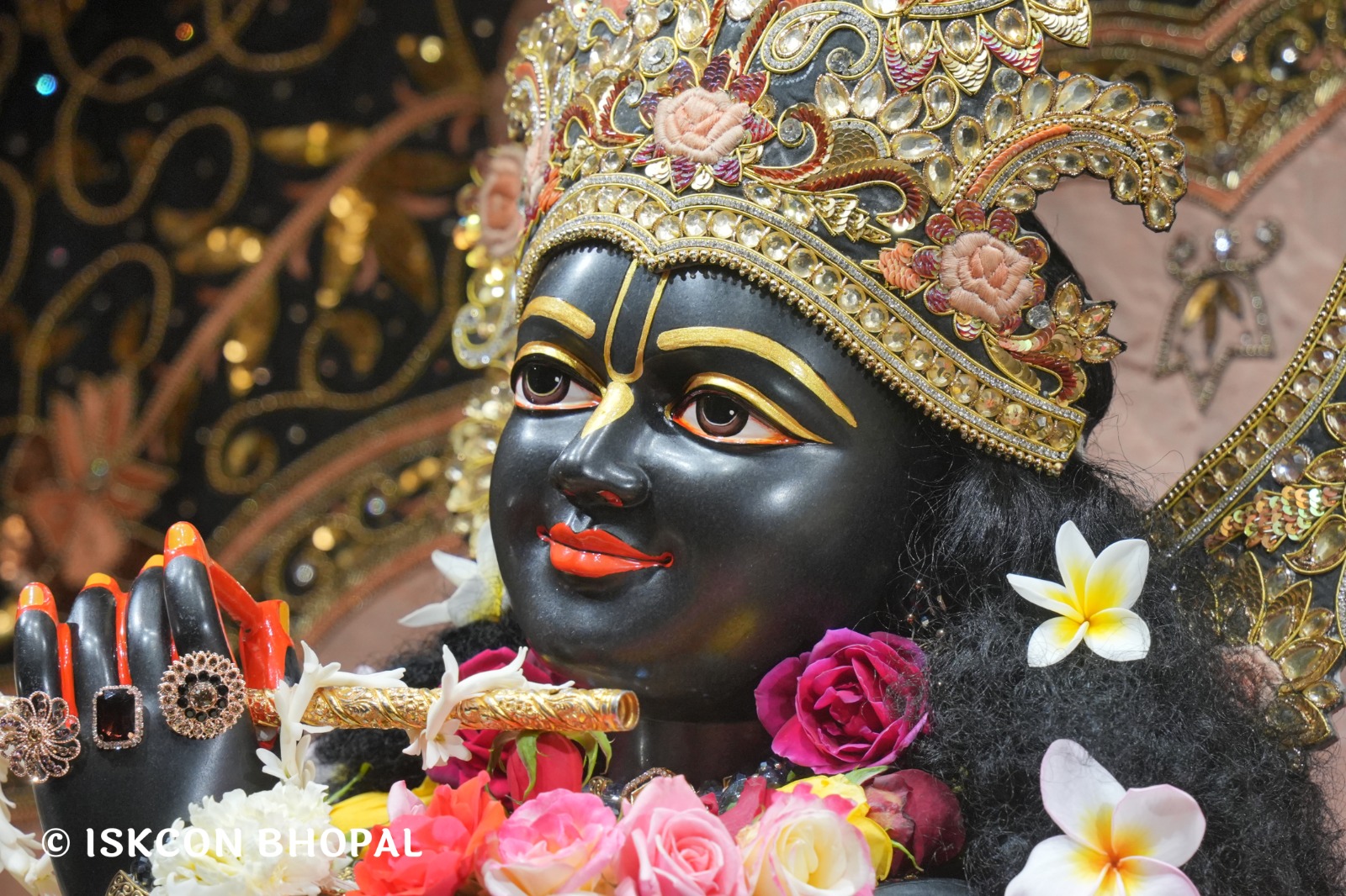 WhatsApp Image 2026-02-17 at 7.51.44 AM