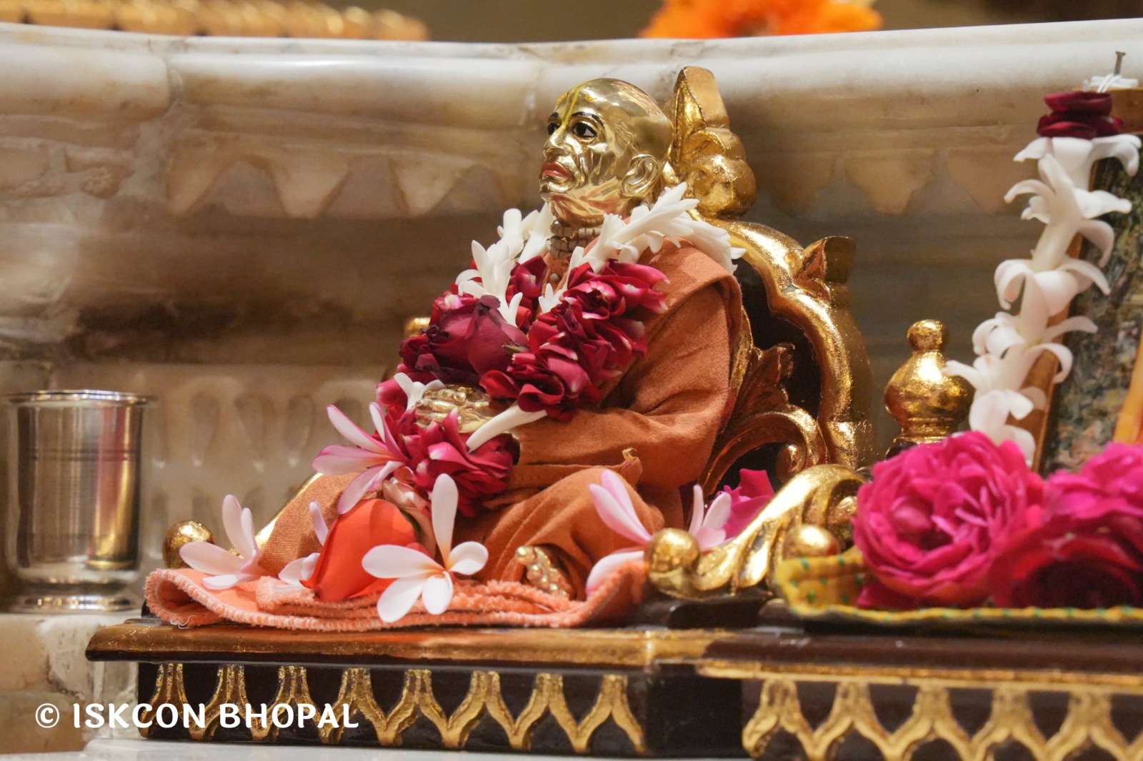 WhatsApp Image 2026-02-17 at 7.51.45 AM (3)