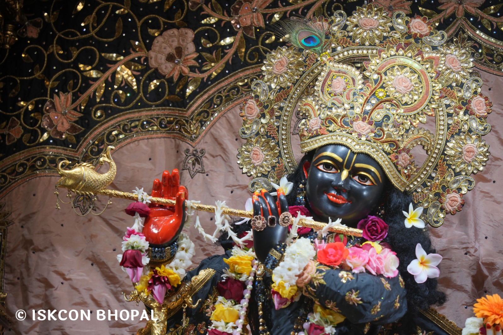 WhatsApp Image 2026-02-17 at 7.51.45 AM