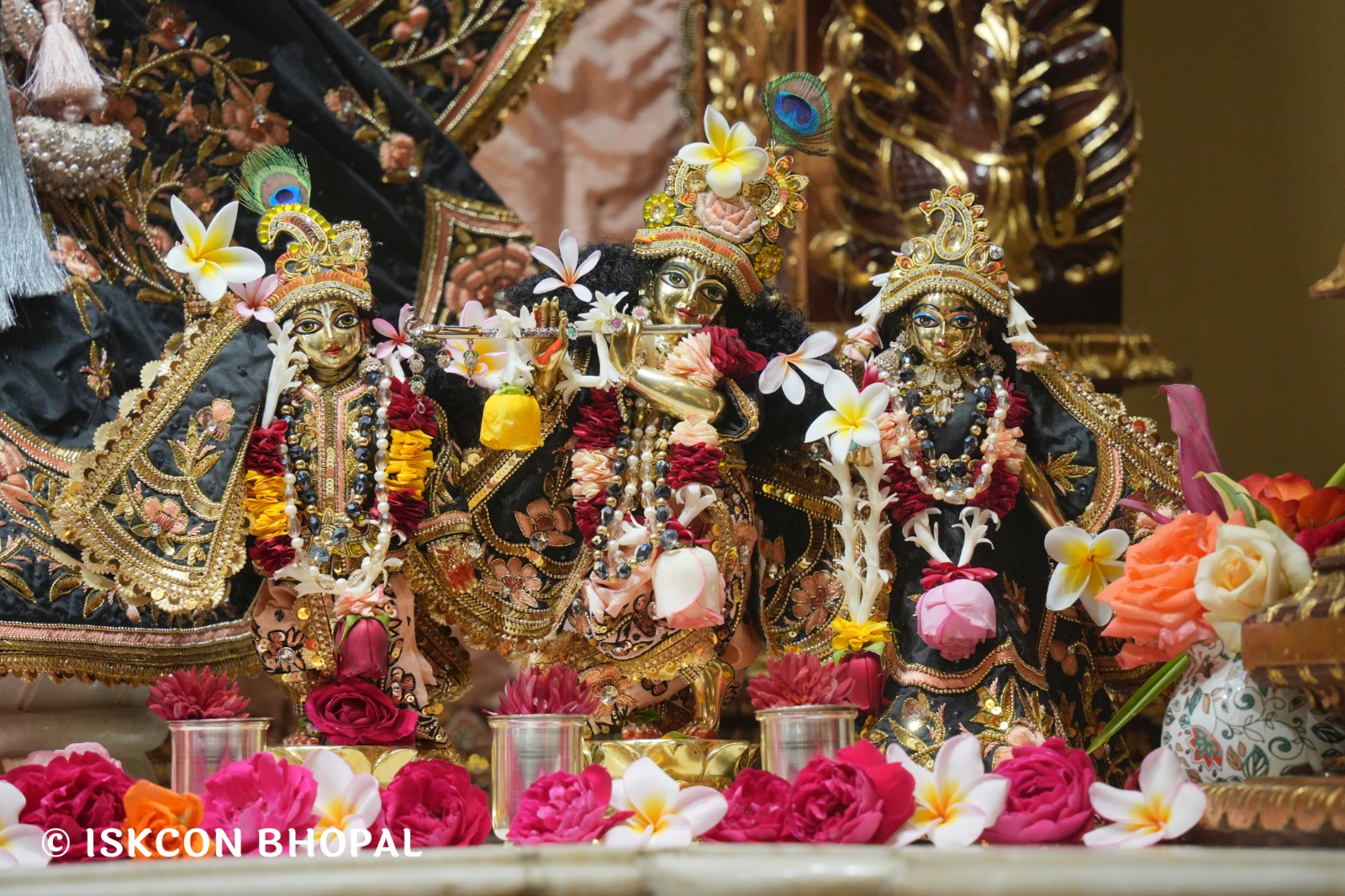 WhatsApp Image 2026-02-17 at 7.51.46 AM (1)