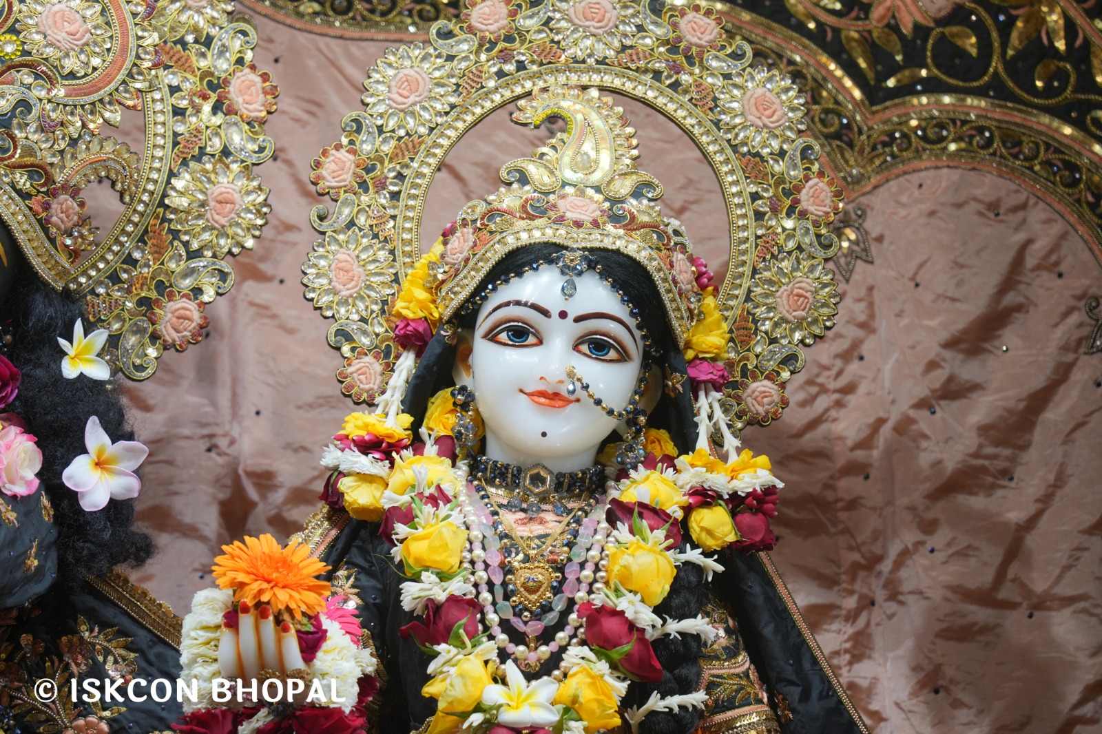 WhatsApp Image 2026-02-17 at 7.51.46 AM (2)