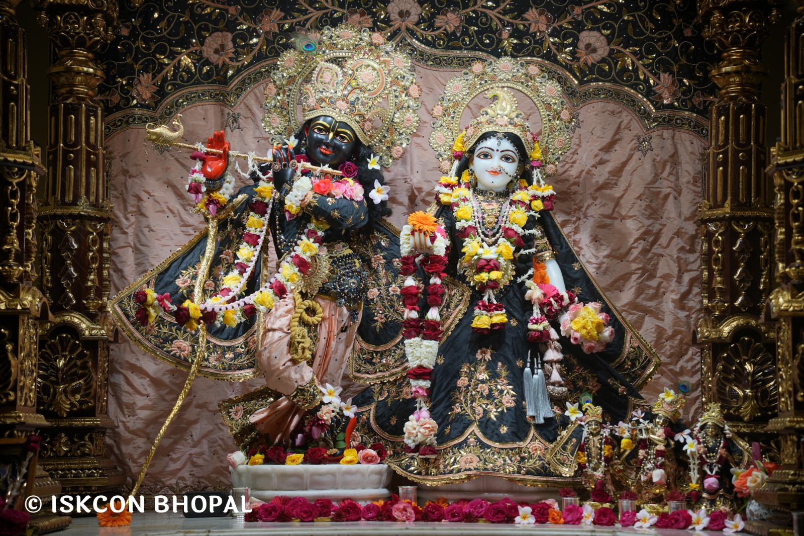 WhatsApp Image 2026-02-17 at 7.51.46 AM