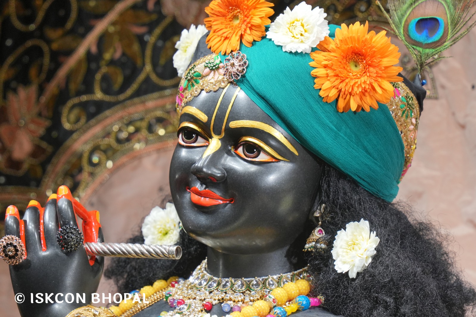 WhatsApp Image 2026-02-18 at 7.04.10 AM (4)