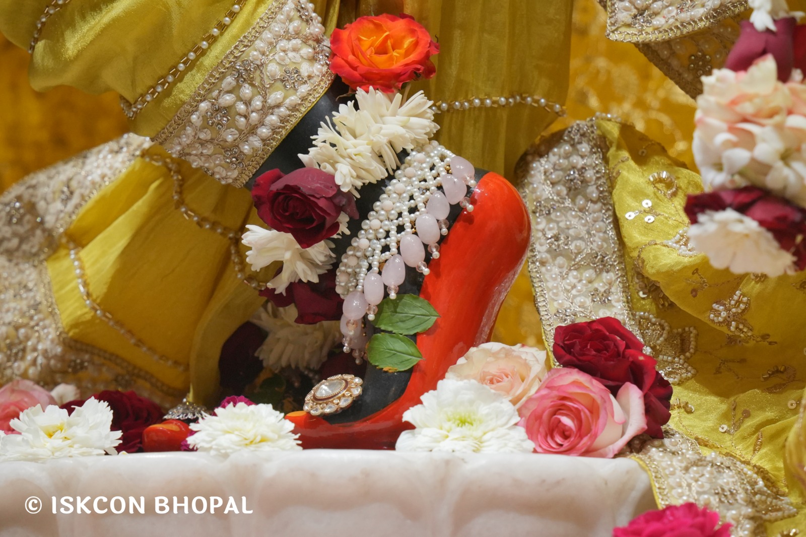 WhatsApp Image 2026-02-18 at 8.08.19 AM (1)