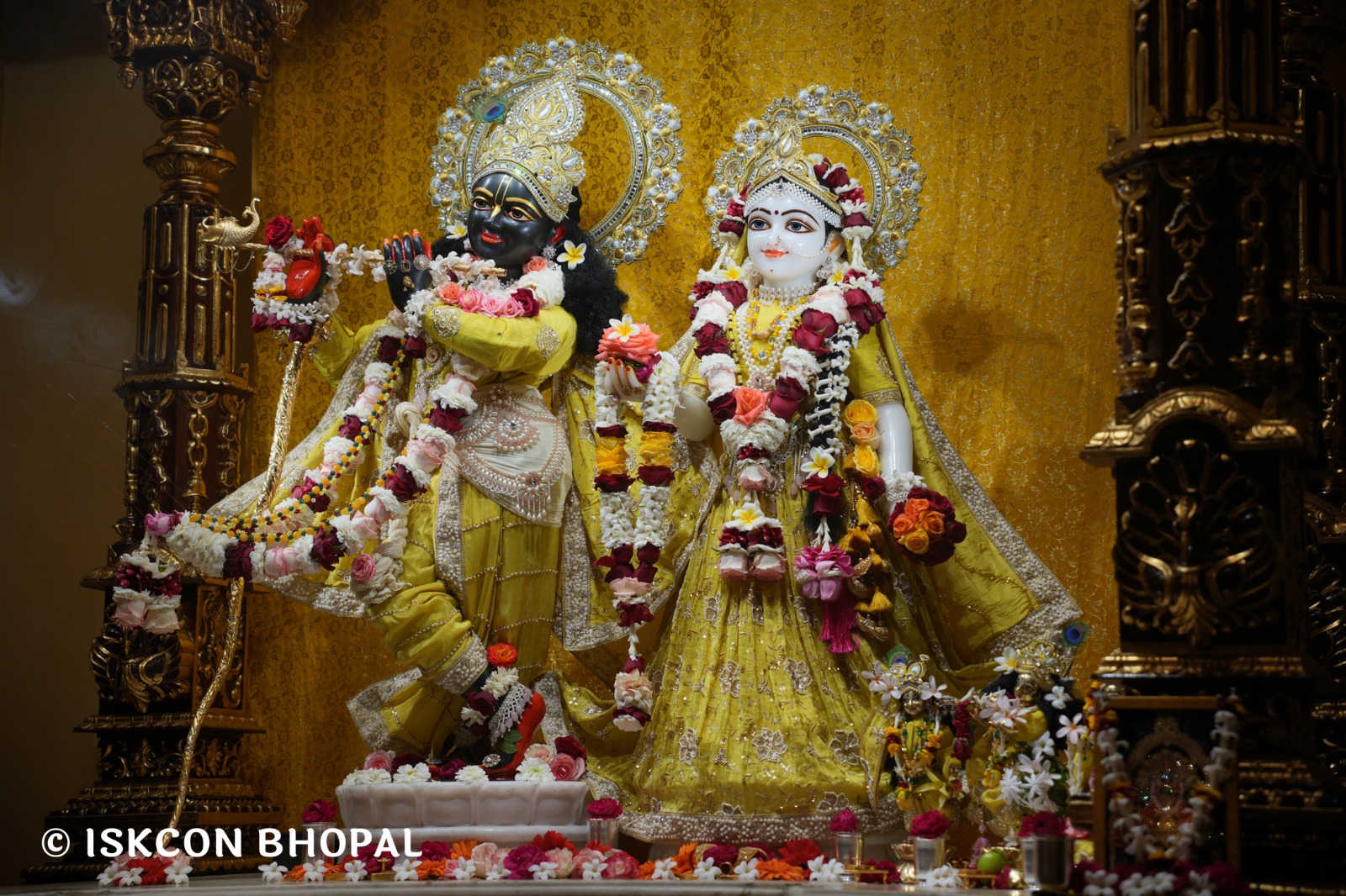 WhatsApp Image 2026-02-18 at 8.08.19 AM (2)