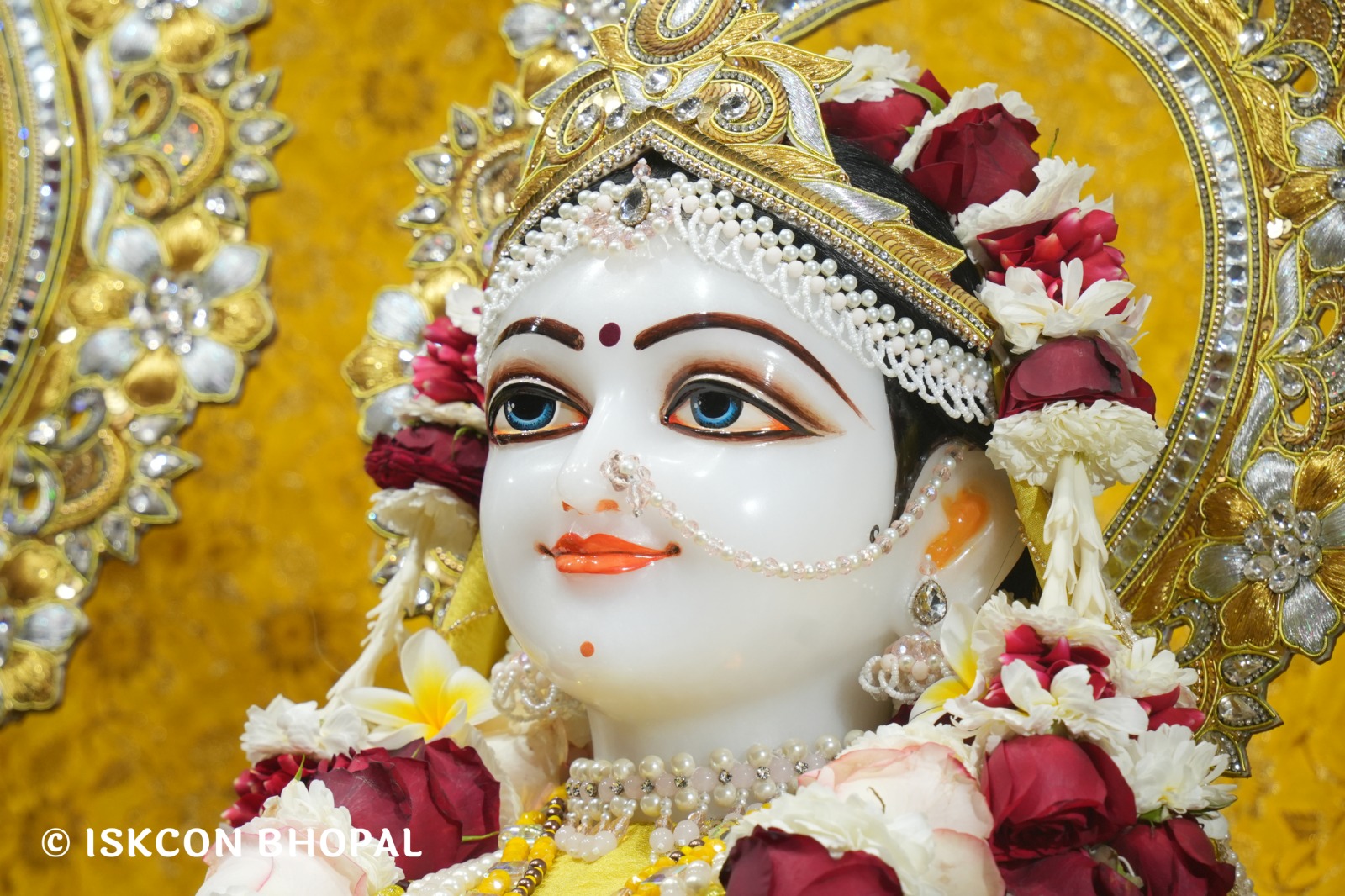 WhatsApp Image 2026-02-18 at 8.08.19 AM