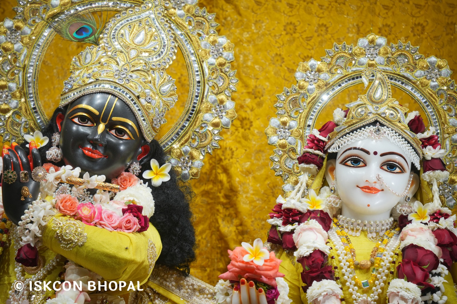 WhatsApp Image 2026-02-18 at 8.08.20 AM (1)