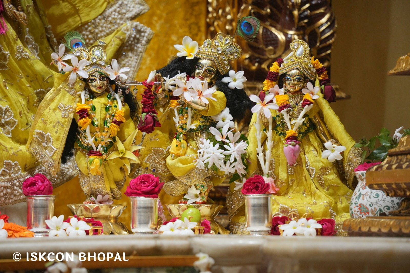 WhatsApp Image 2026-02-18 at 8.08.20 AM (2)