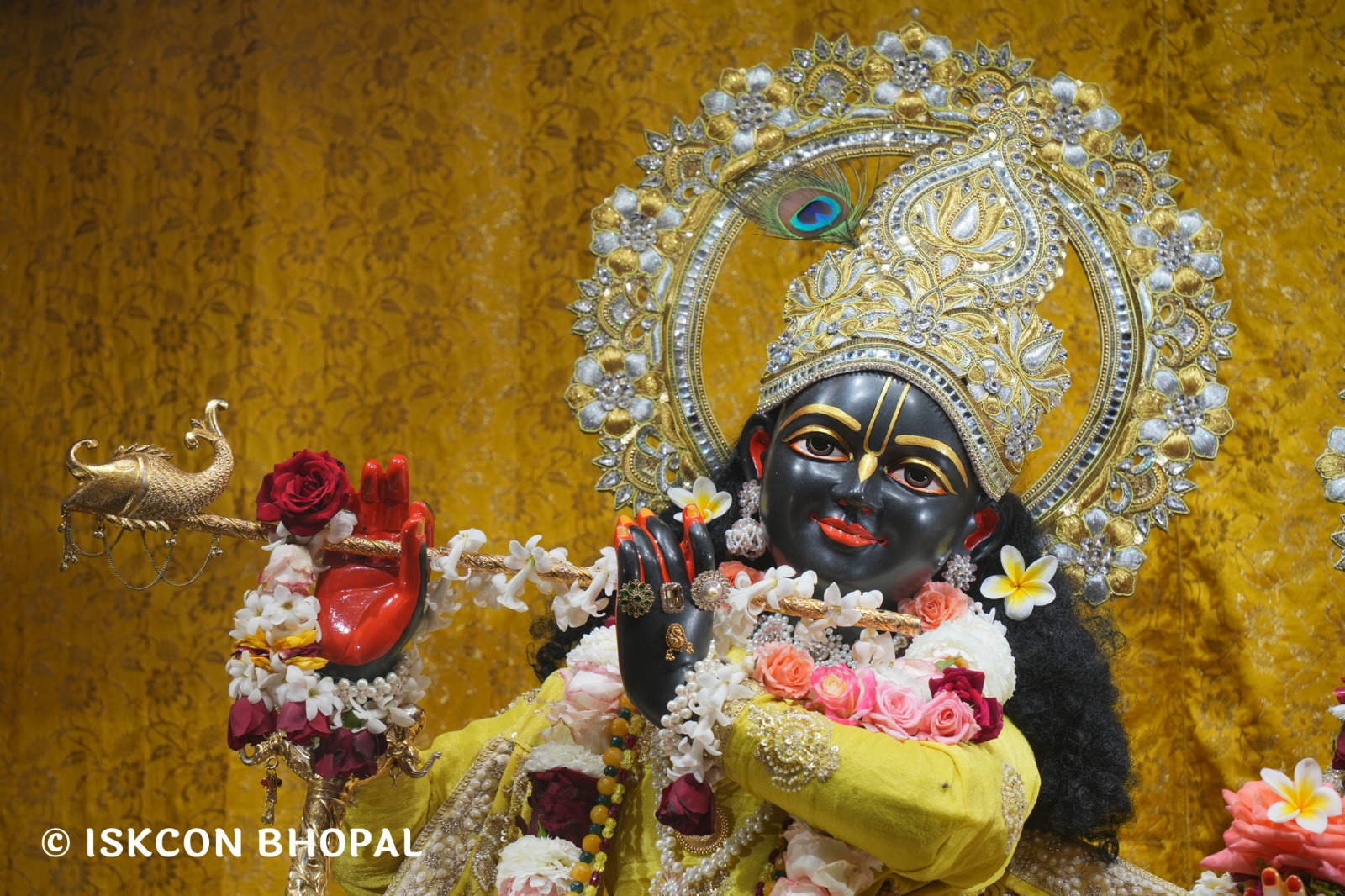 WhatsApp Image 2026-02-18 at 8.08.20 AM (3)