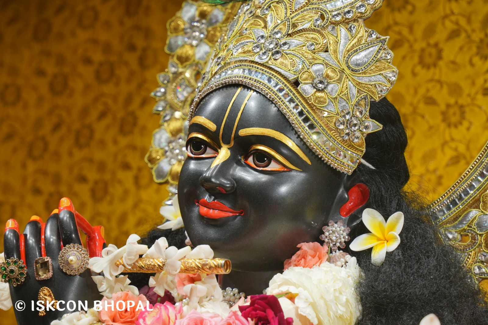 WhatsApp Image 2026-02-18 at 8.08.20 AM