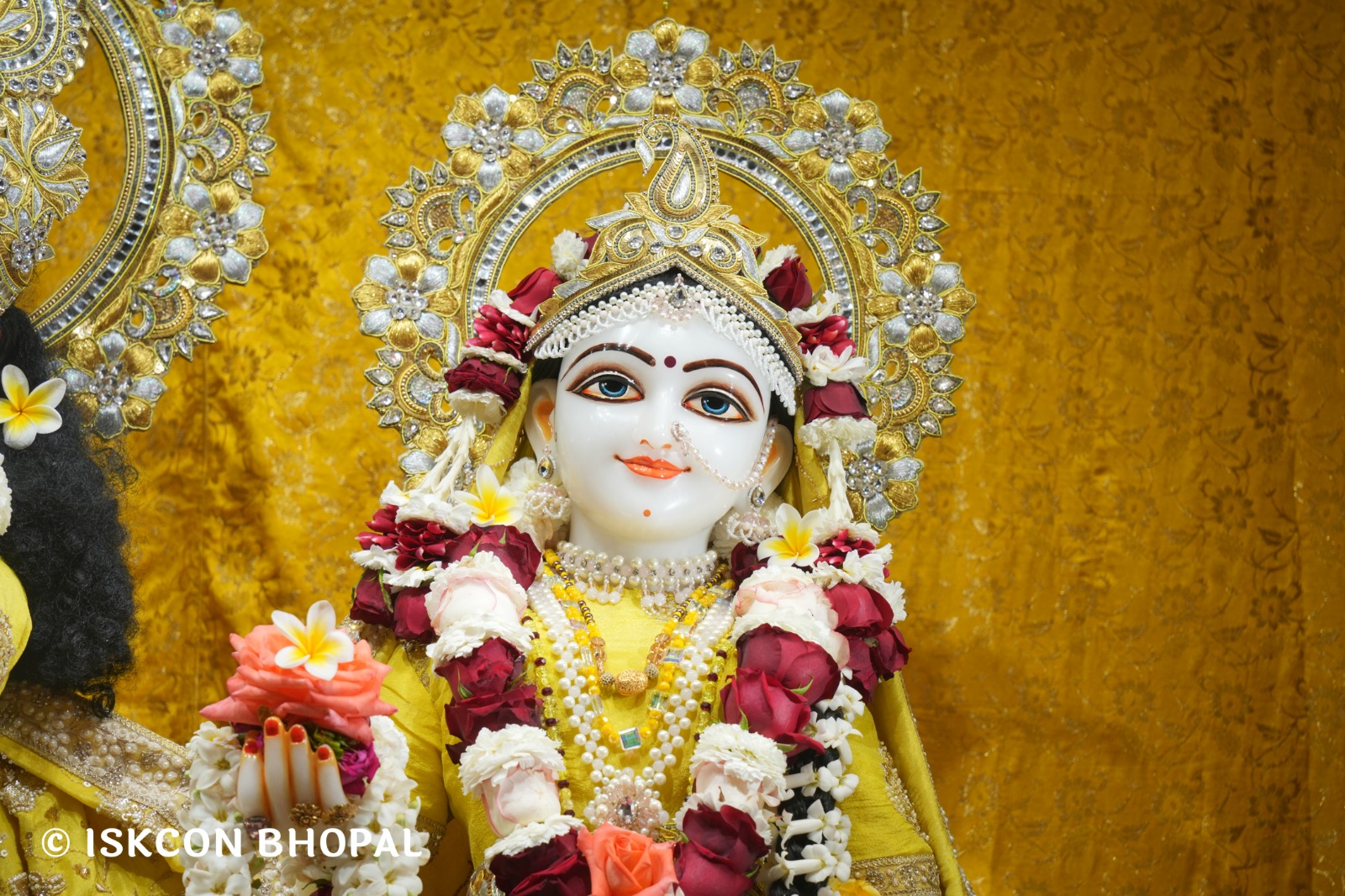 WhatsApp Image 2026-02-18 at 8.08.21 AM