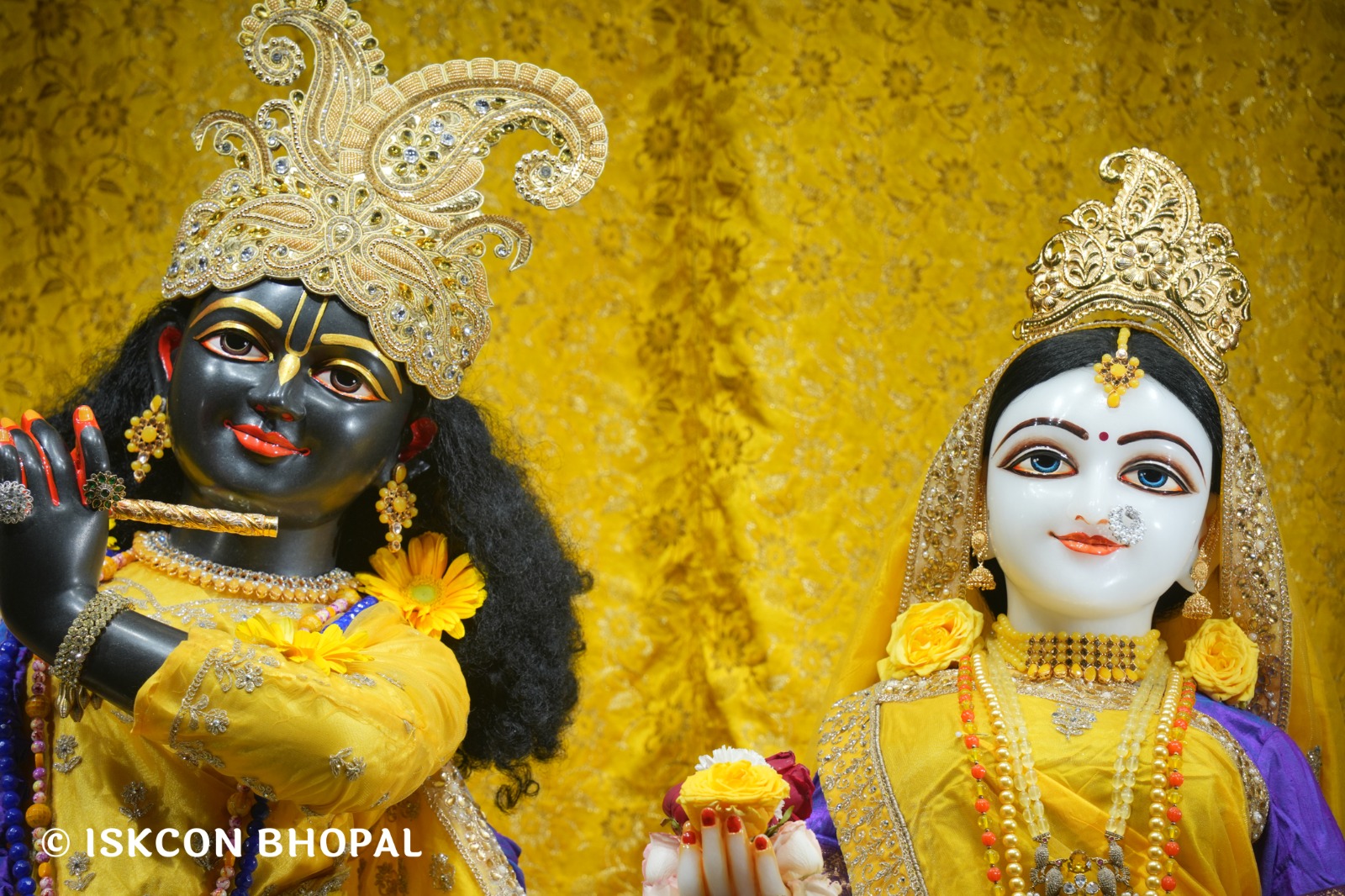 WhatsApp Image 2026-02-19 at 7.03.50 AM