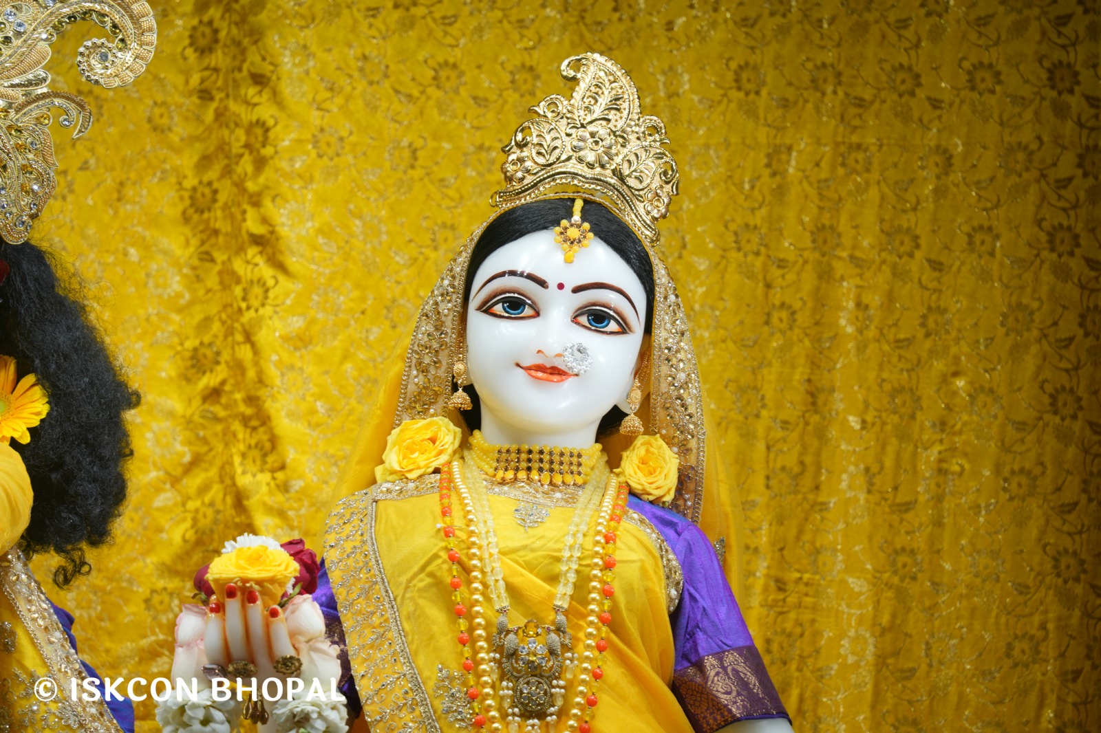 WhatsApp Image 2026-02-19 at 7.03.51 AM (1)