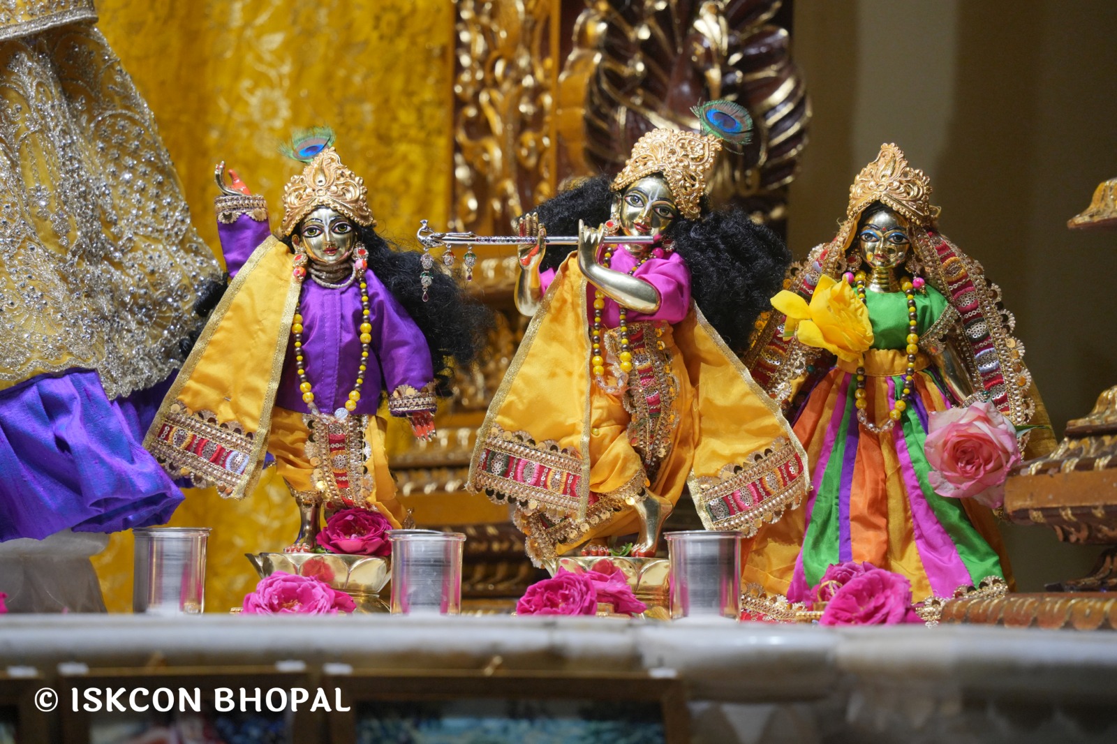 WhatsApp Image 2026-02-19 at 7.03.51 AM (3)