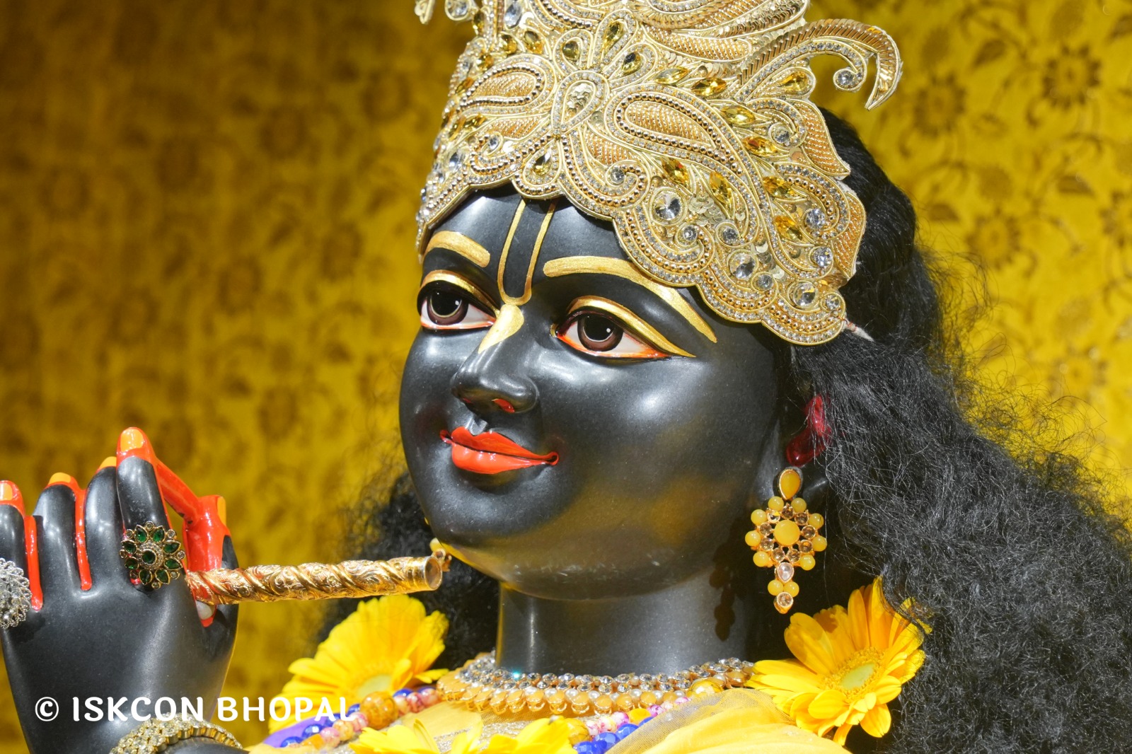 WhatsApp Image 2026-02-19 at 7.03.52 AM (2)