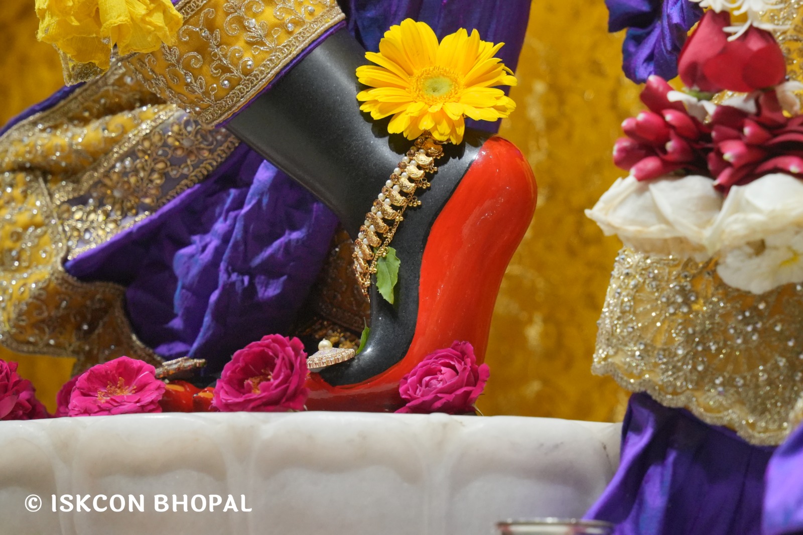 WhatsApp Image 2026-02-19 at 7.03.52 AM