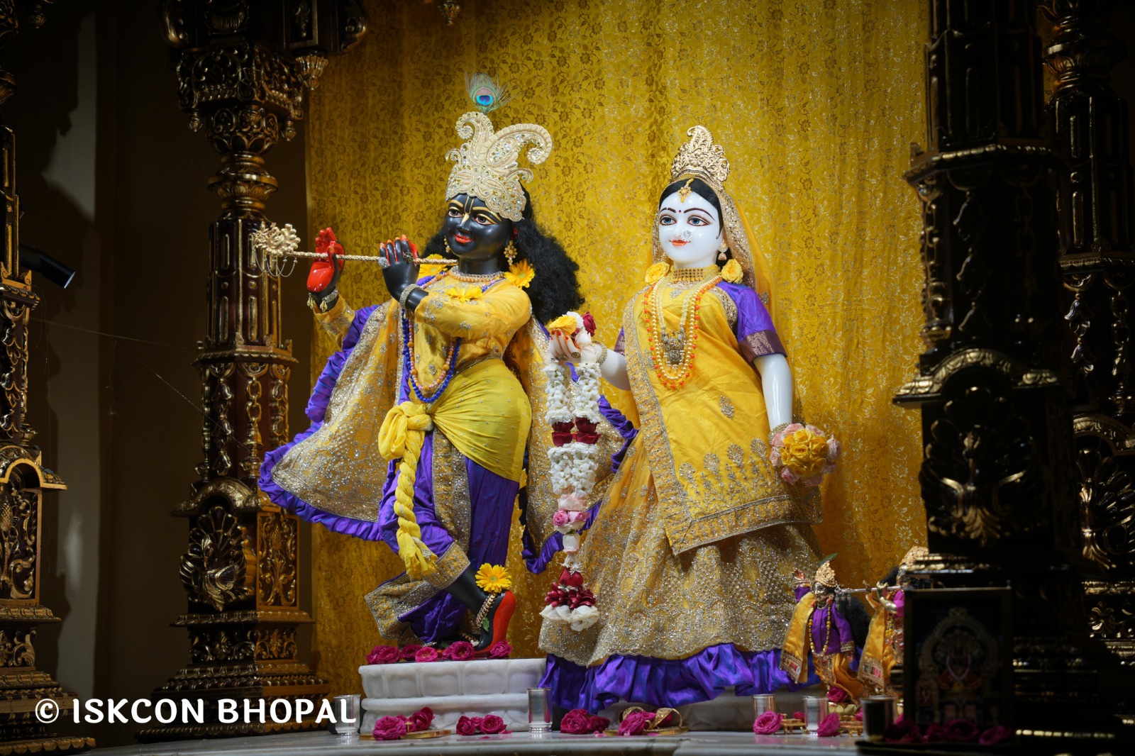 WhatsApp Image 2026-02-19 at 7.03.53 AM (1)