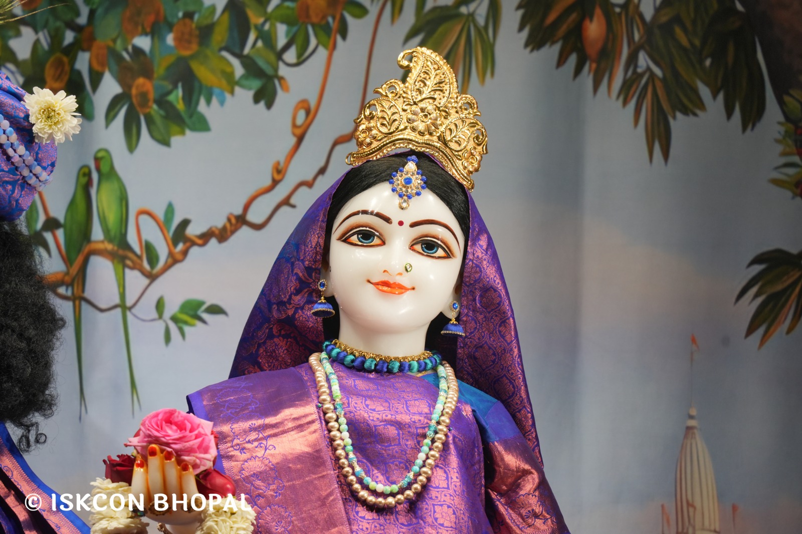 WhatsApp Image 2026-02-20 at 7.03.08 AM (1)