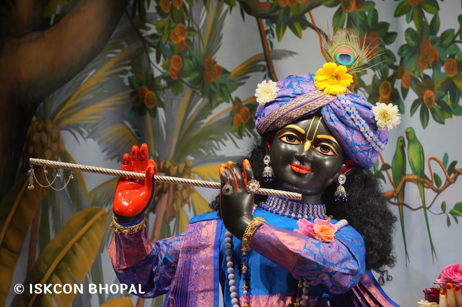 WhatsApp Image 2026-02-20 at 7.03.08 AM