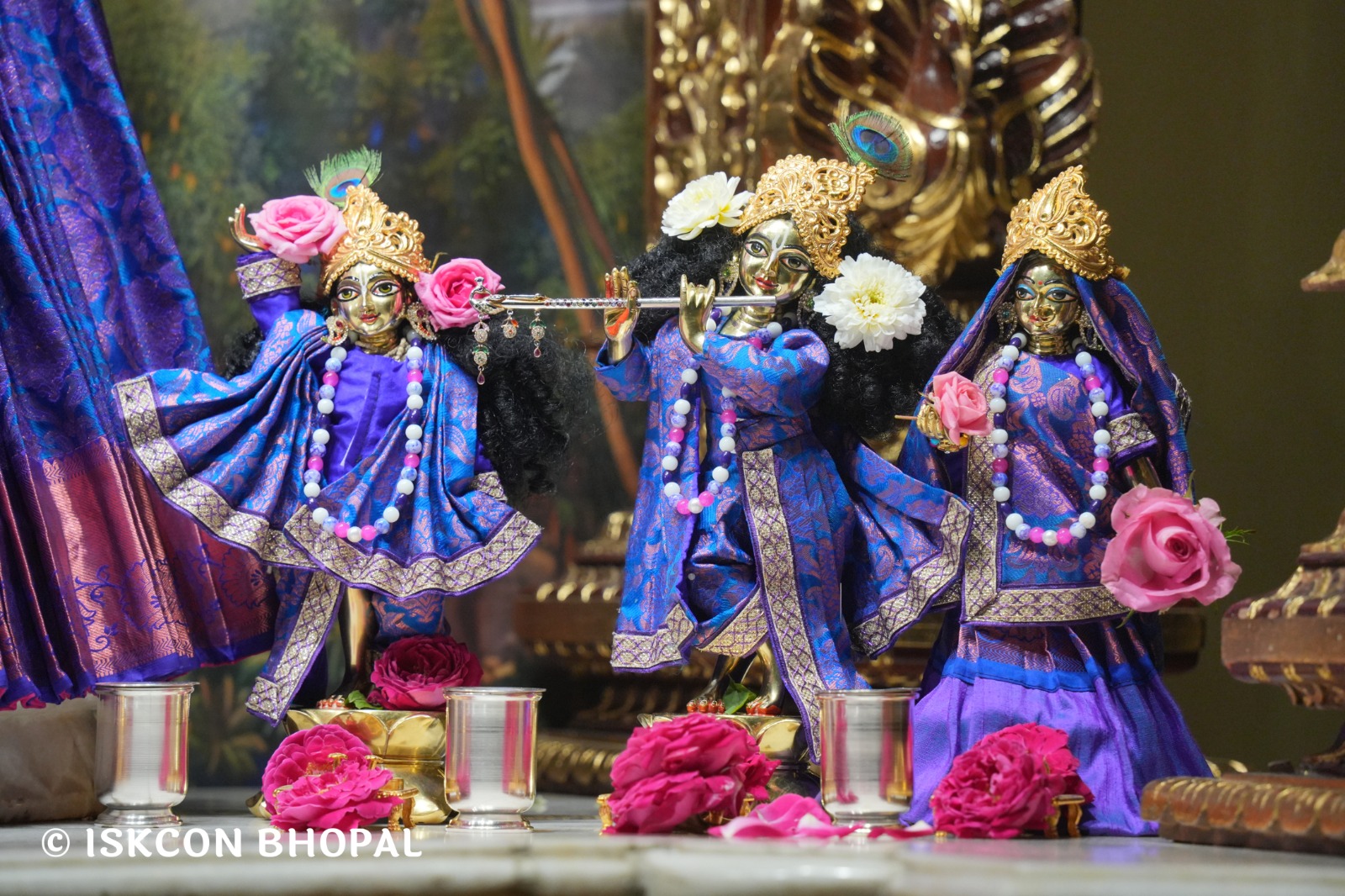 WhatsApp Image 2026-02-20 at 7.03.09 AM (2)