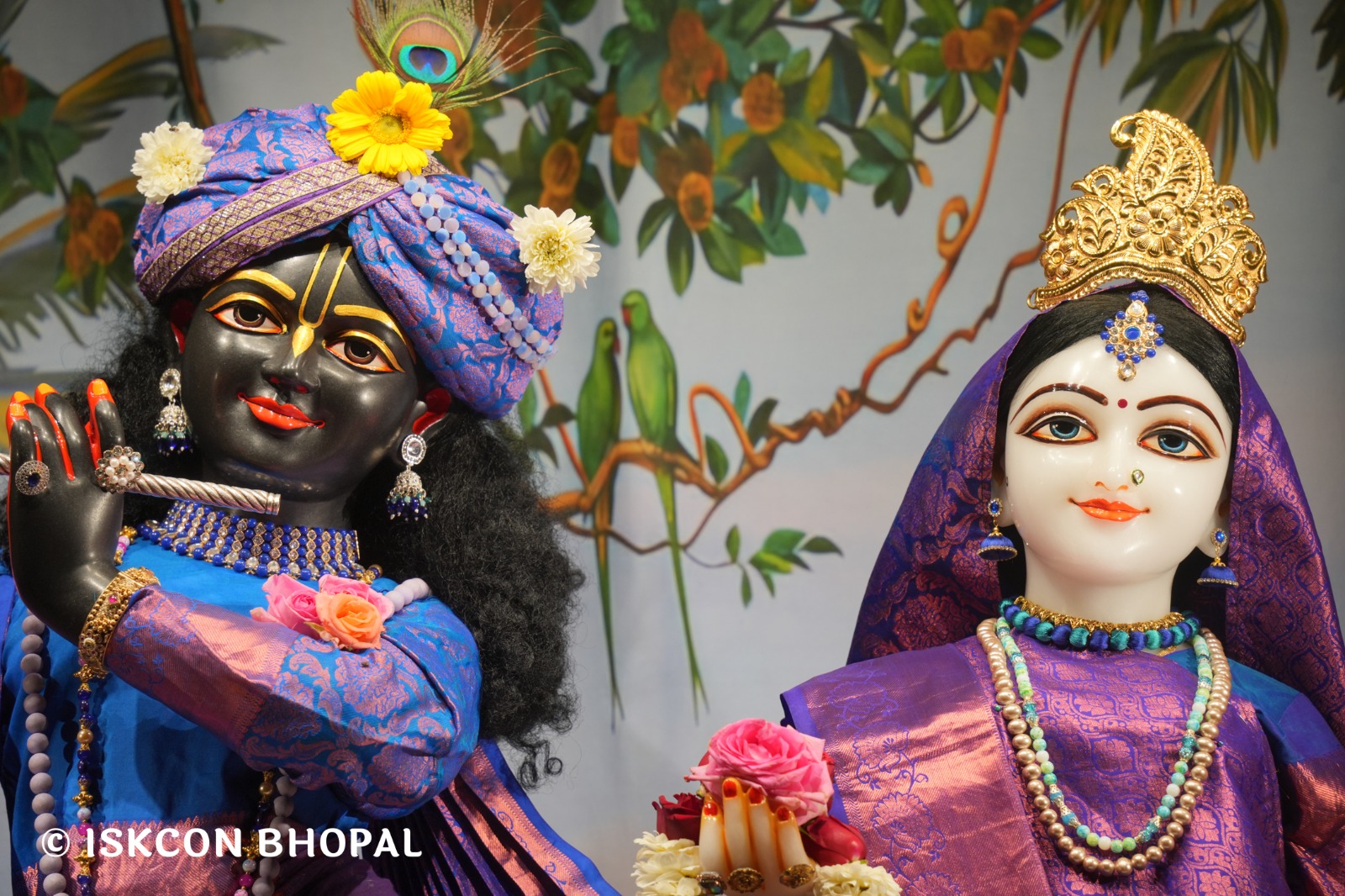 WhatsApp Image 2026-02-20 at 7.03.09 AM