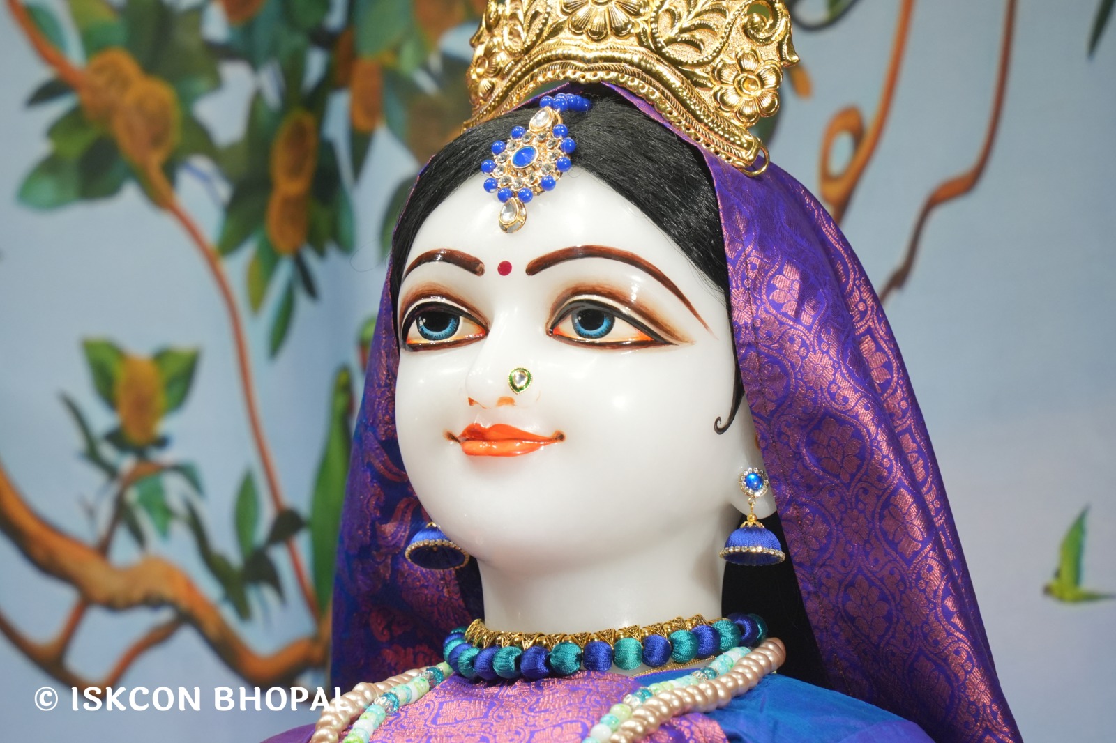 WhatsApp Image 2026-02-20 at 7.03.10 AM (3)