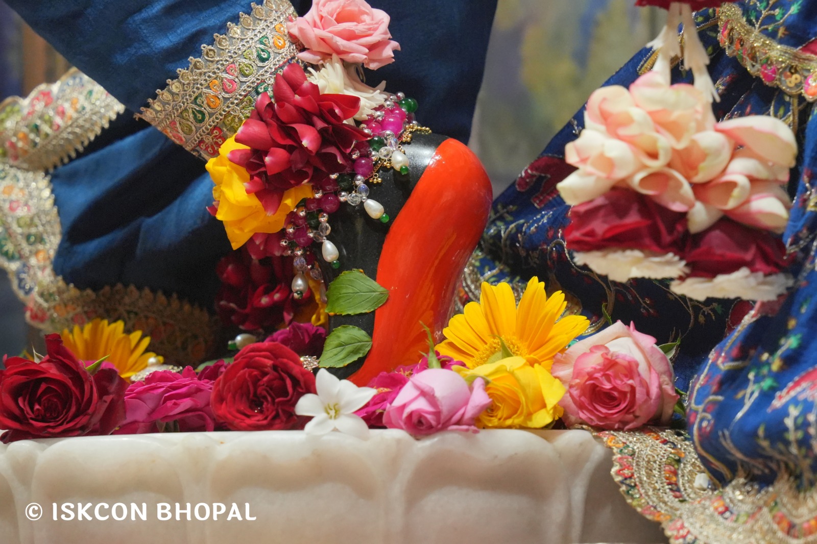 WhatsApp Image 2026-02-20 at 8.07.05 AM