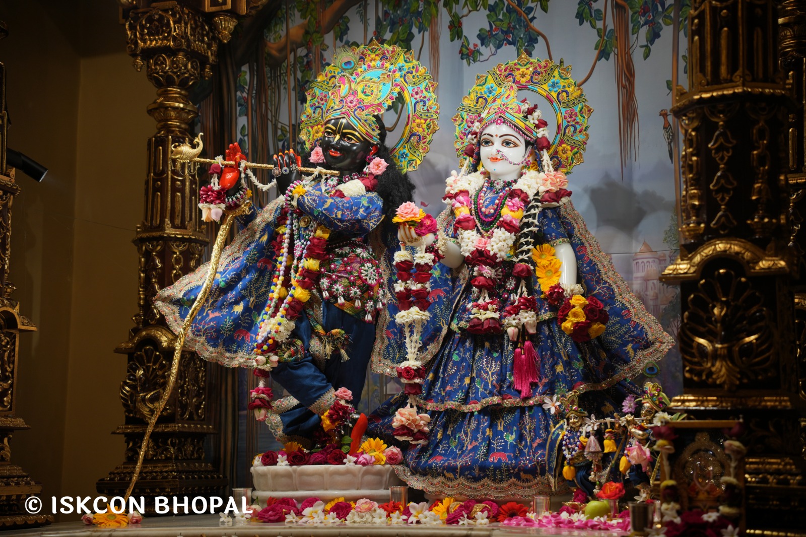 WhatsApp Image 2026-02-20 at 8.07.06 AM (1)