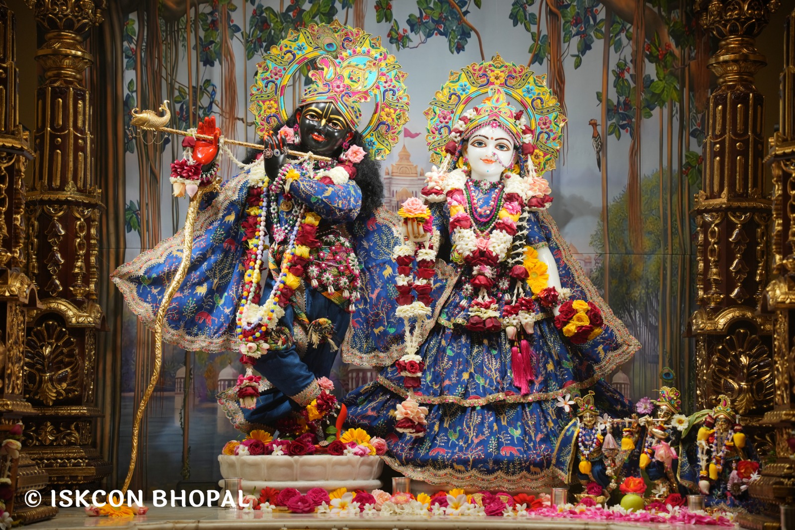 WhatsApp Image 2026-02-20 at 8.07.08 AM (1)