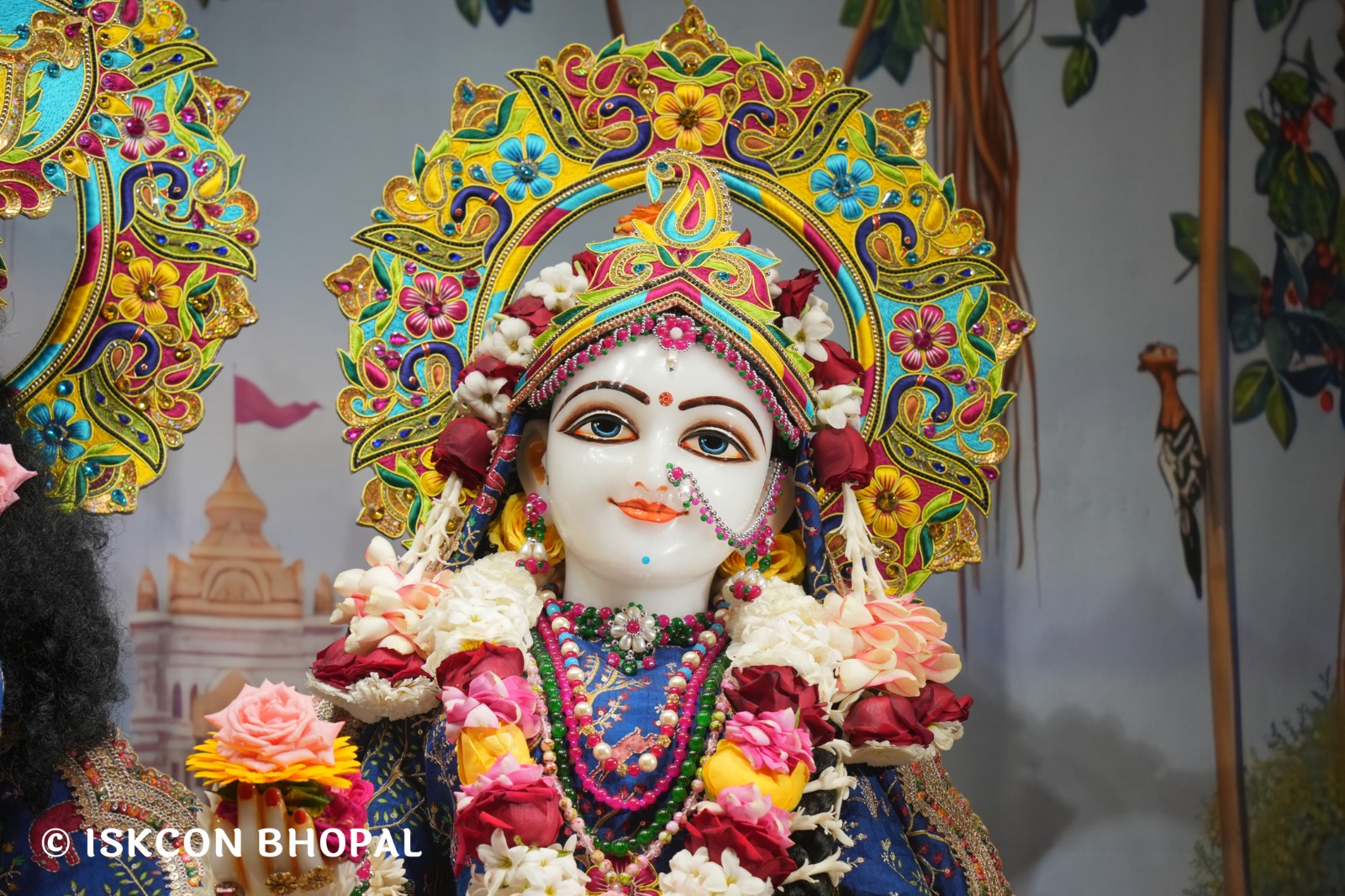 WhatsApp Image 2026-02-20 at 8.07.09 AM (1)